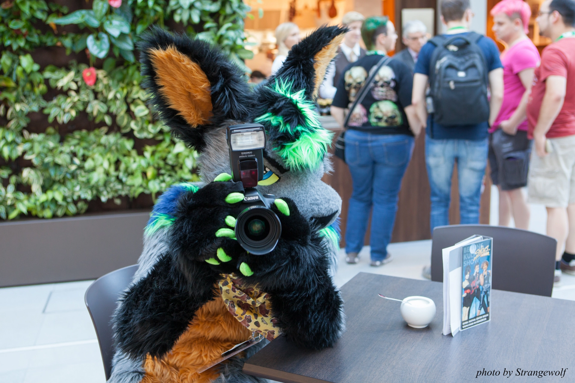 full image IMG_6988-lr19t.jpg