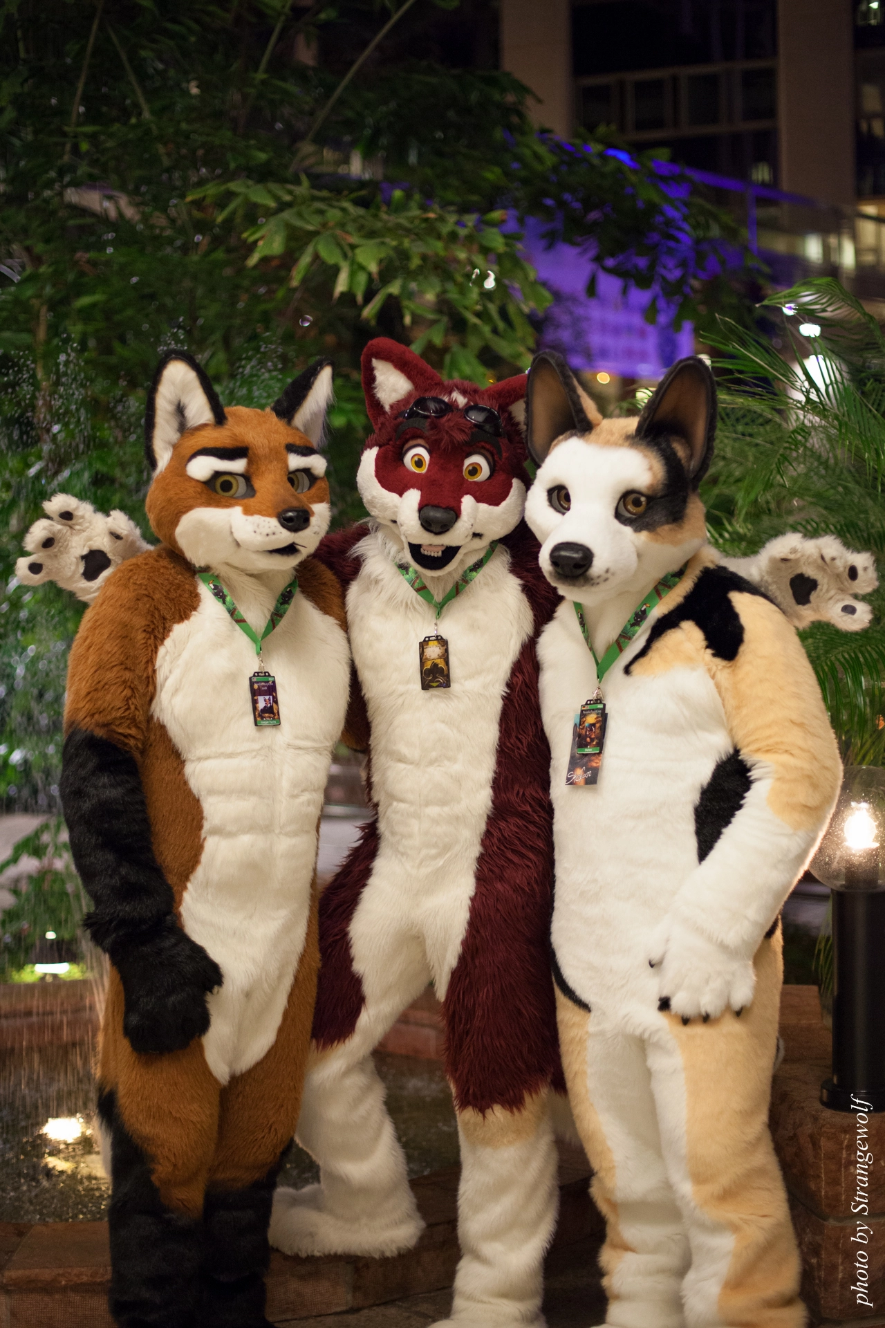 full image IMG_9328-lr19t.jpg