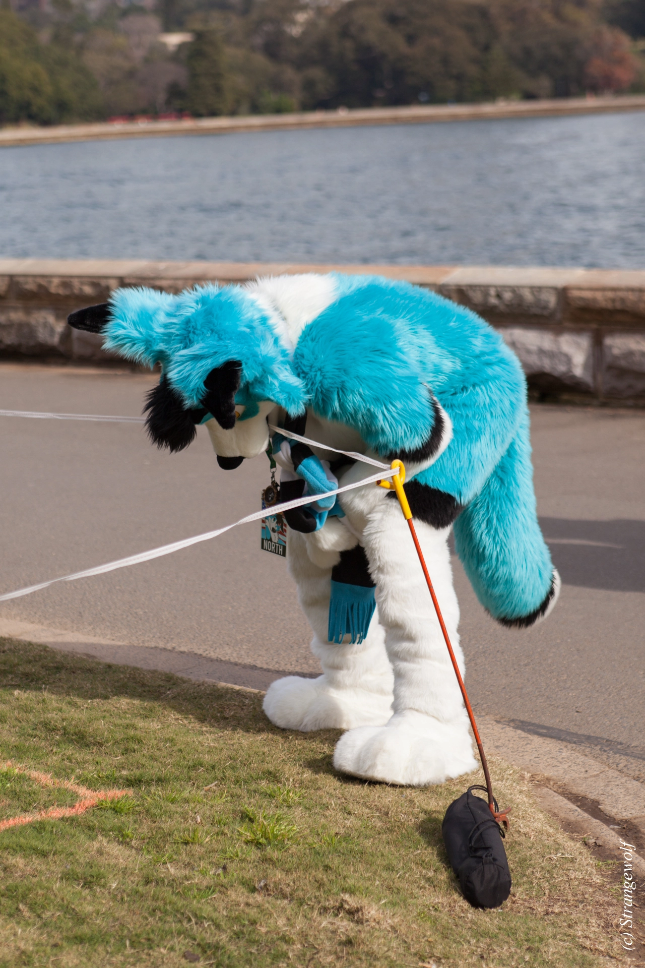 full image IMG_4344-lr19t.jpg