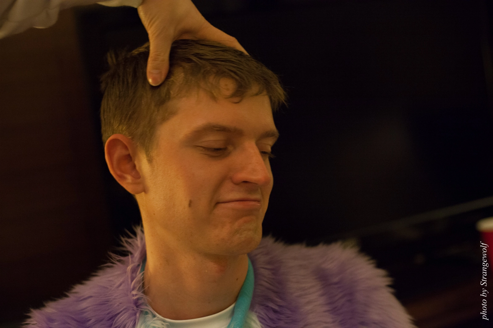 full image IMG_4425-lr16t.jpg