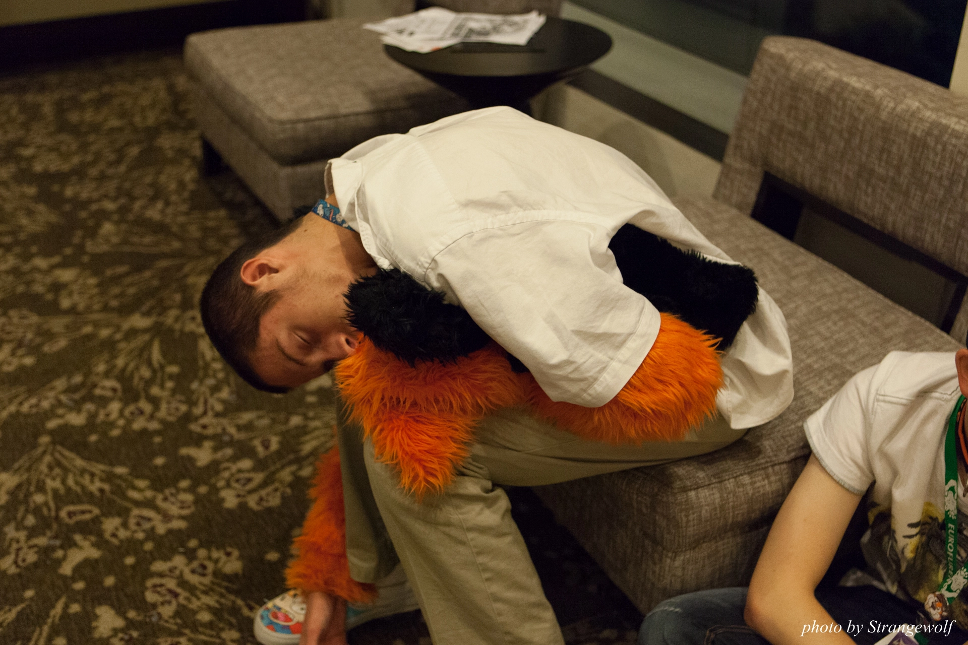 full image IMG_0353-lr19t.jpg