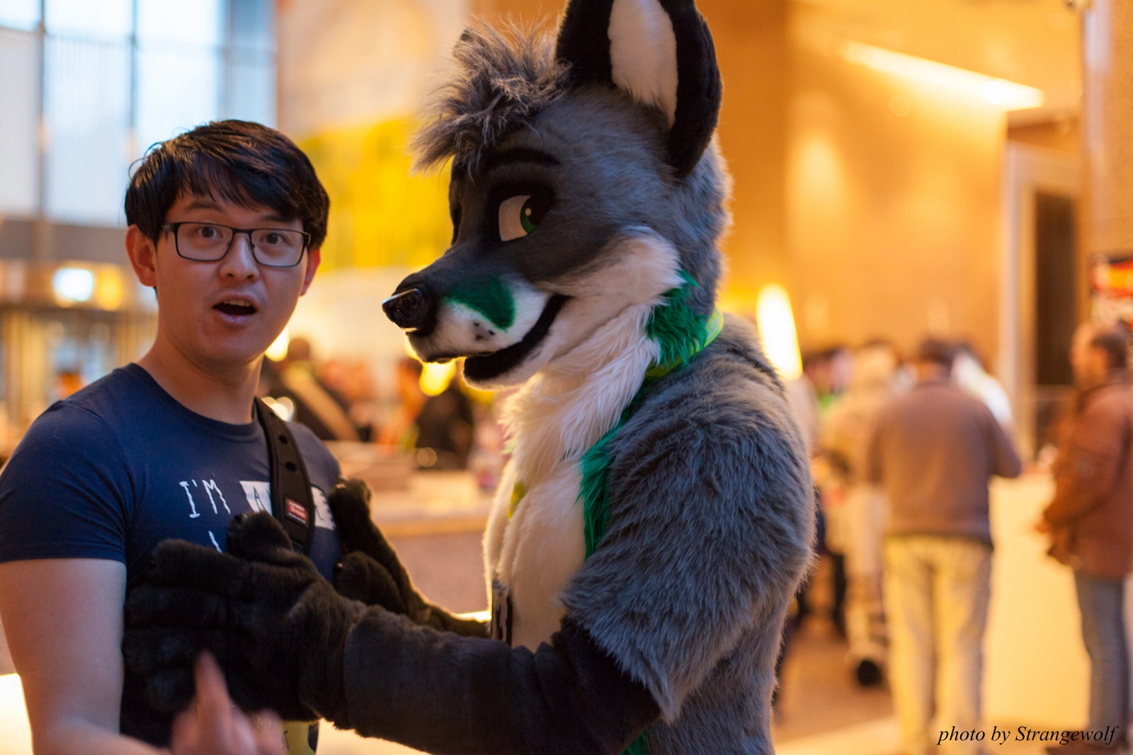 full image IMG_2164-lr16t.jpg