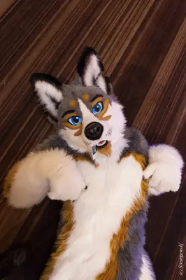 IMG_1944-lr19t.jpg of FWA/FWA2018/