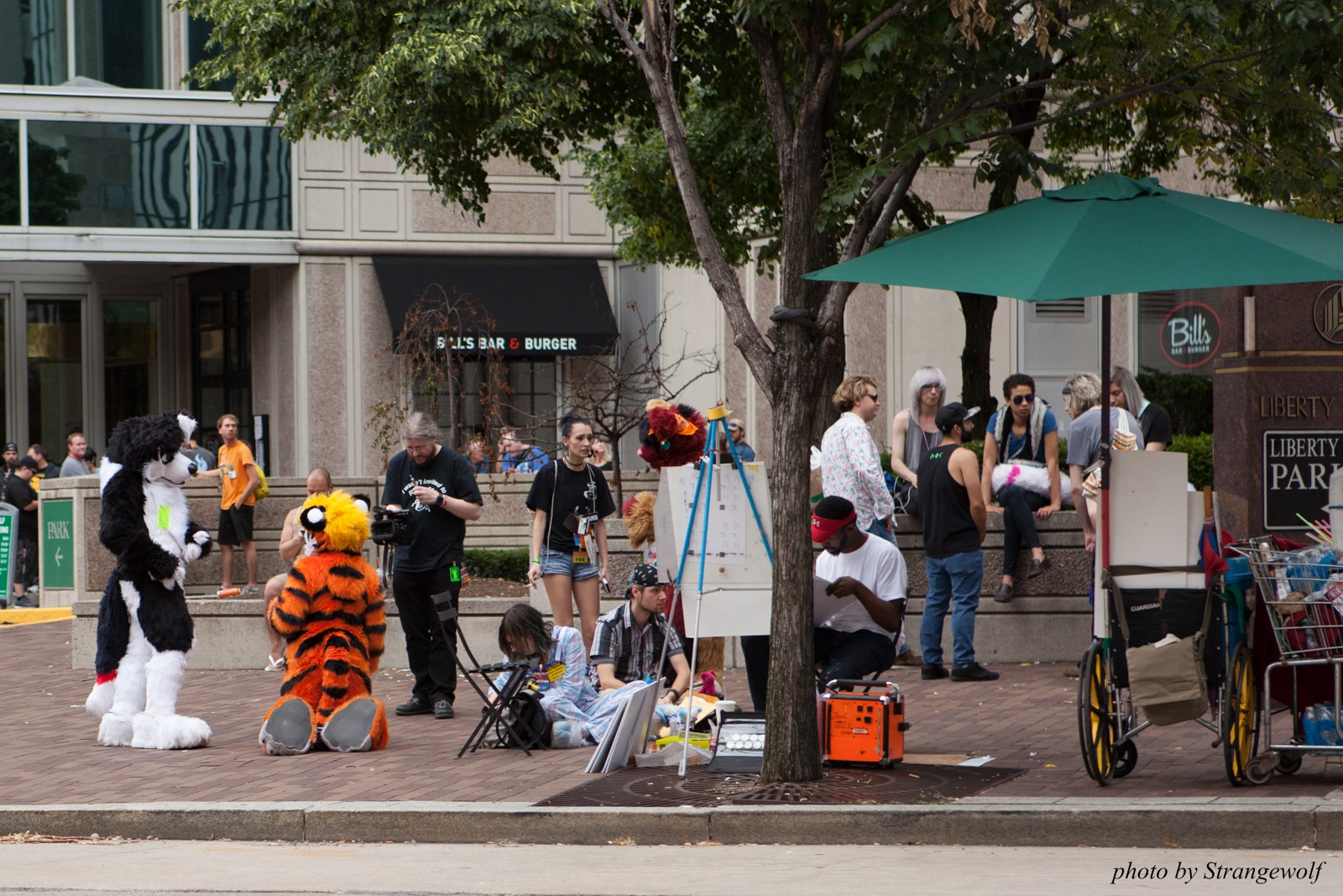 full image IMG_8344-lr16t.jpg