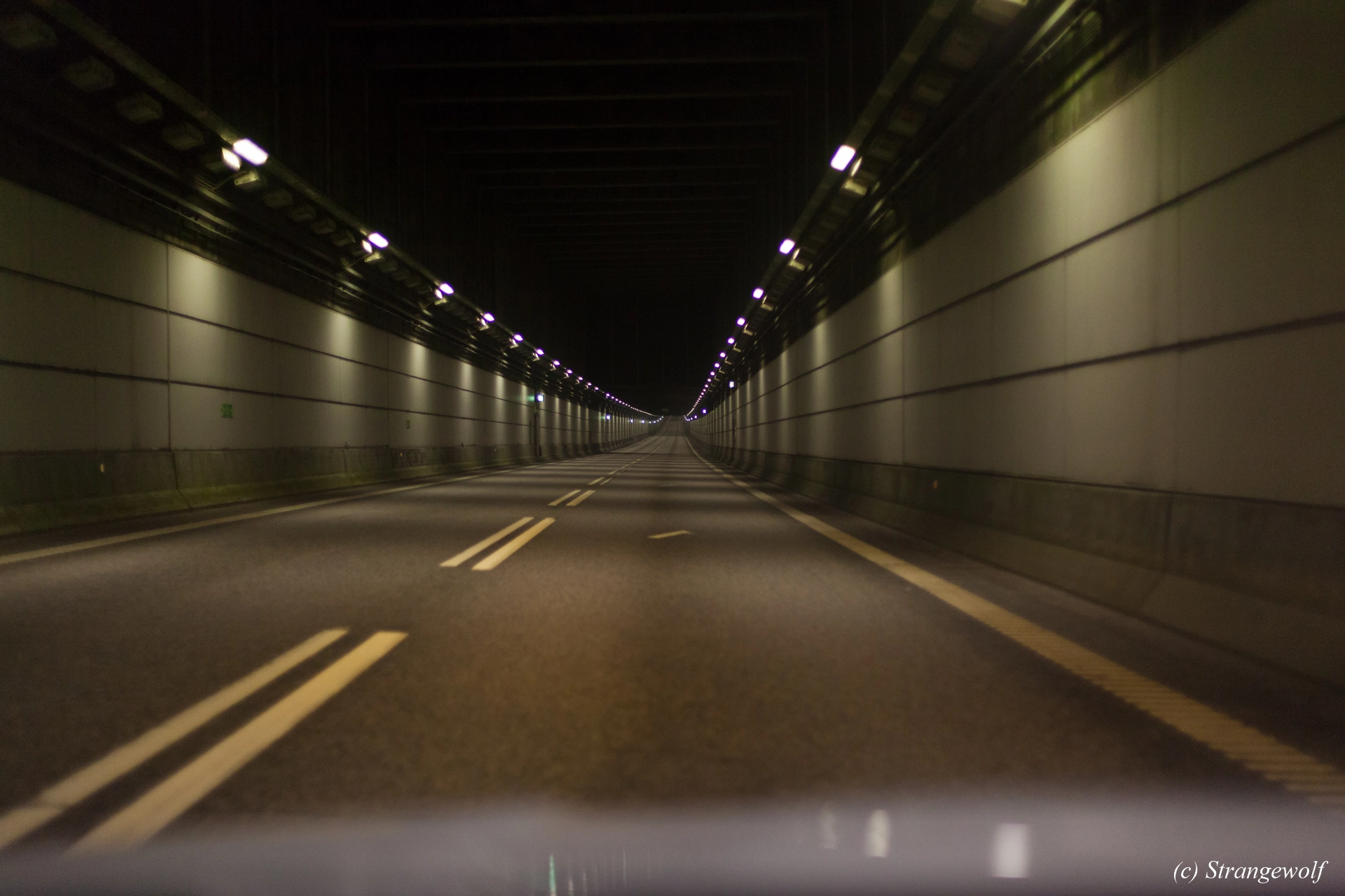 full image IMG_8483-lr19t.jpg