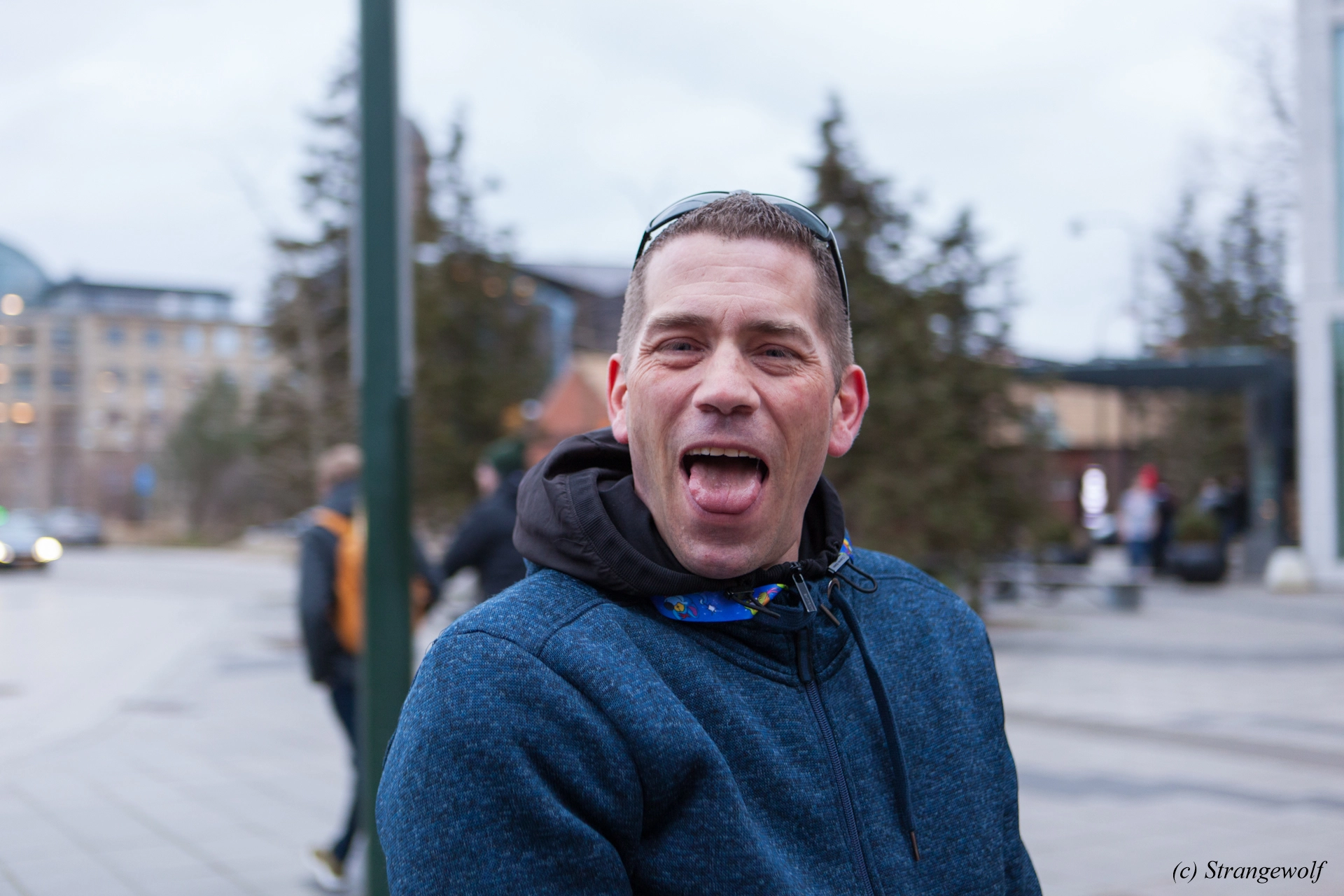 full image IMG_8596-lr19t.jpg