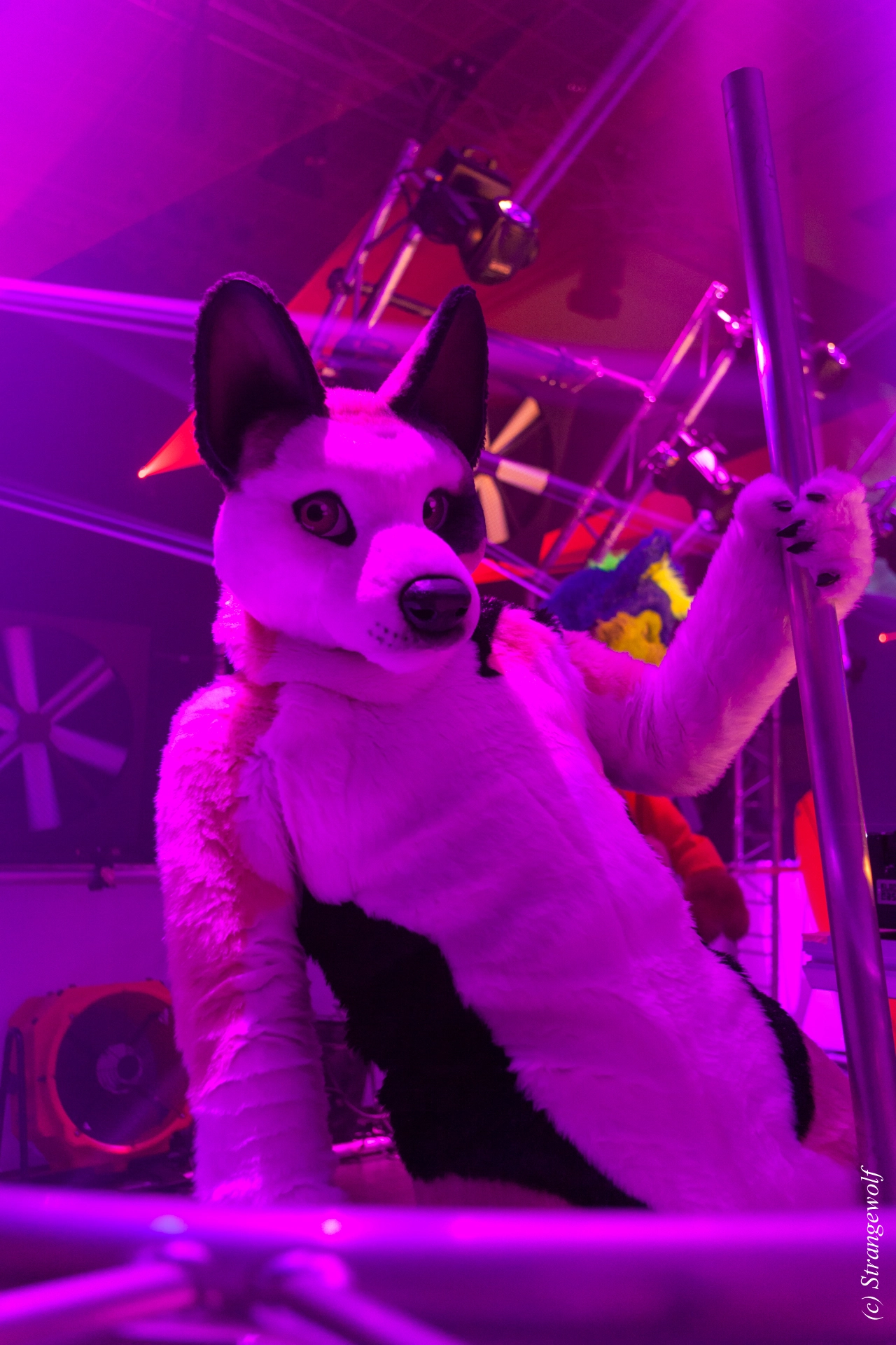 full image IMG_5056-lr19t.jpg