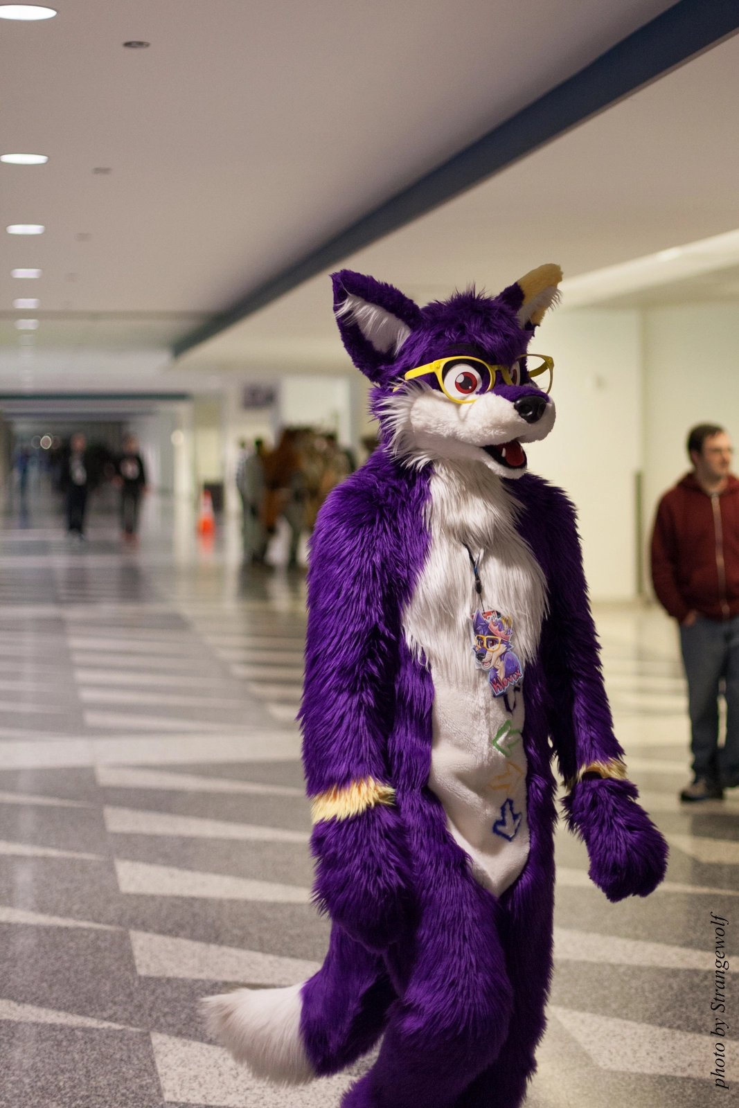 full image IMG_1249-lr16t.jpg