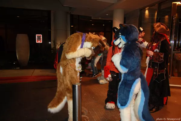 IMG_0428-lr.jpg of MFF/MFF2013/