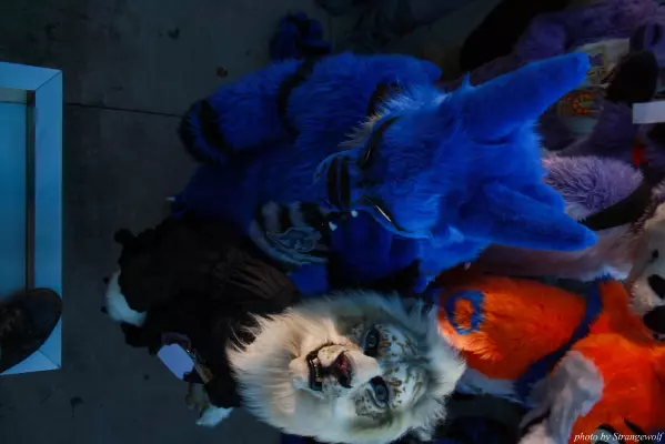 IMG_0711-lr.jpg of MFF/MFF2013/