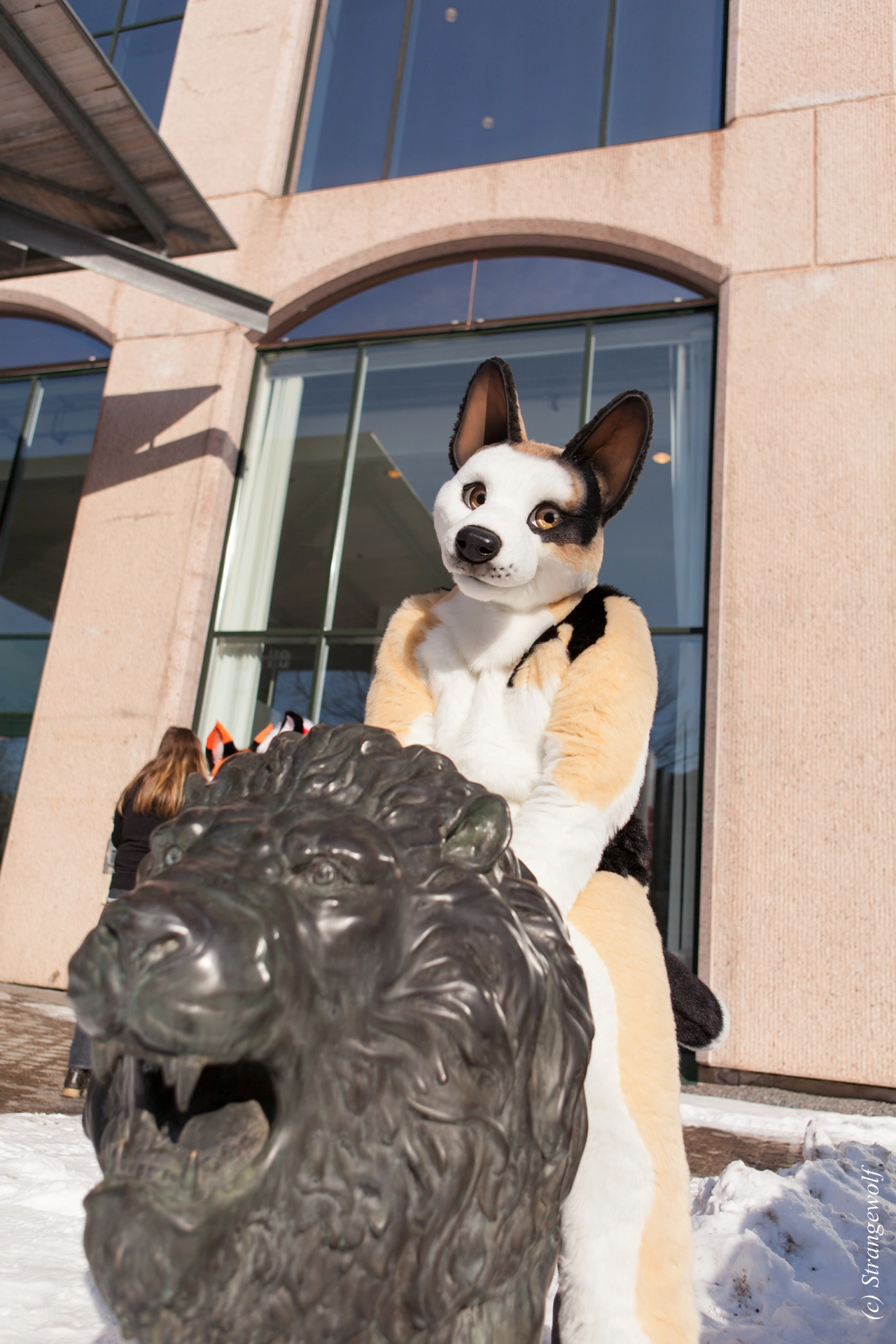 full image IMG_9570-lr19t.jpg