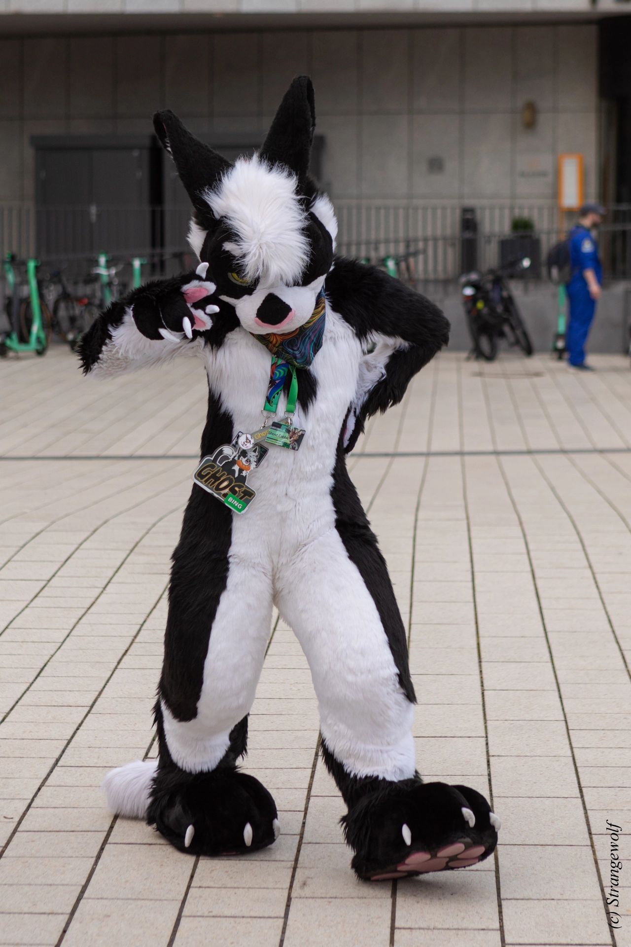 full image 1R3A9172-lr19t.jpg