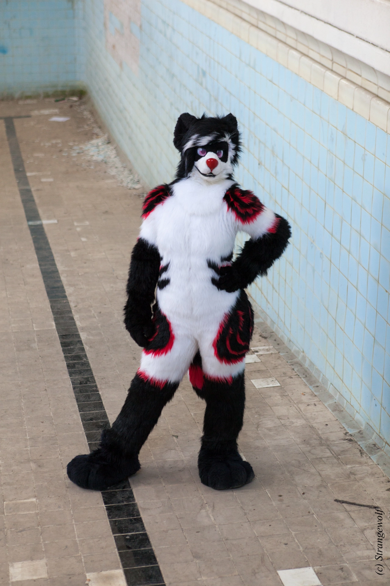 full image IMG_6098-lr19t.jpg