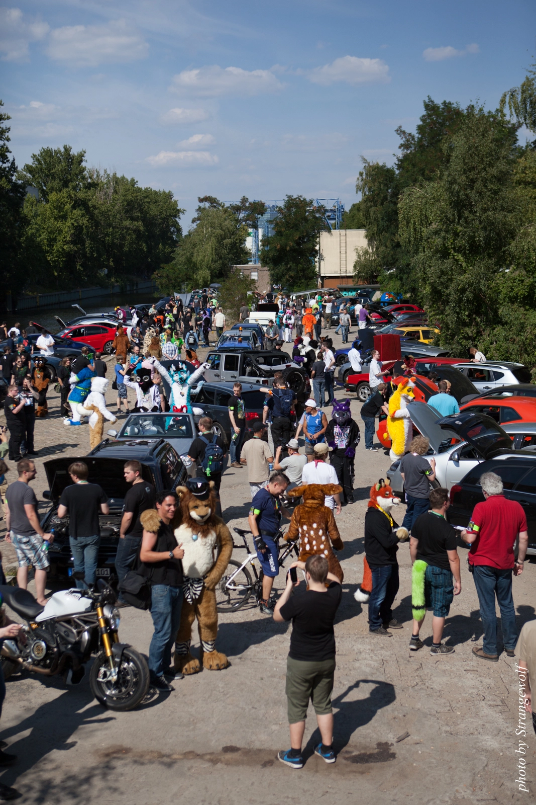 full image IMG_2293-lr16t.jpg