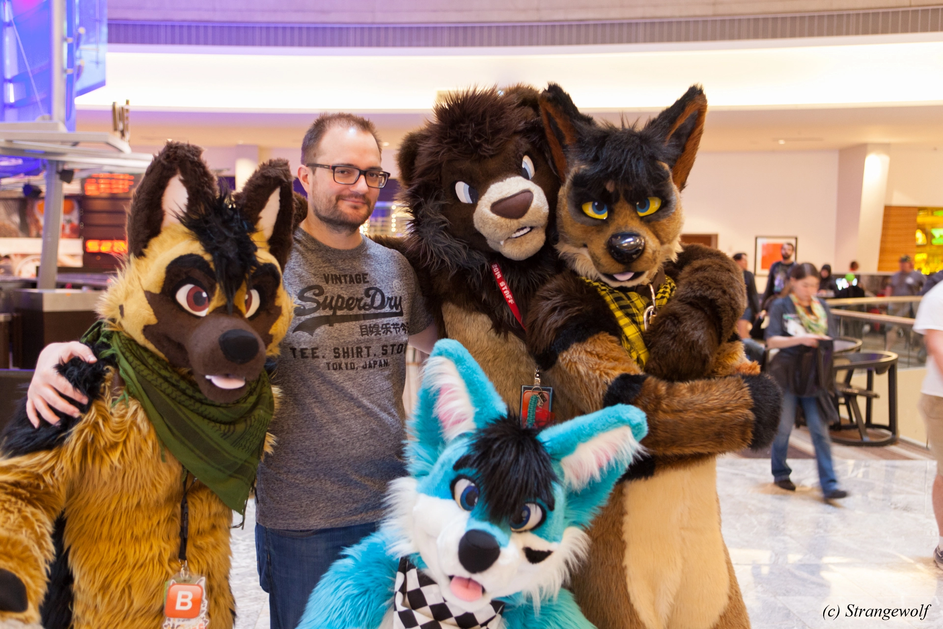 full image IMG_1927-lr19t.jpg