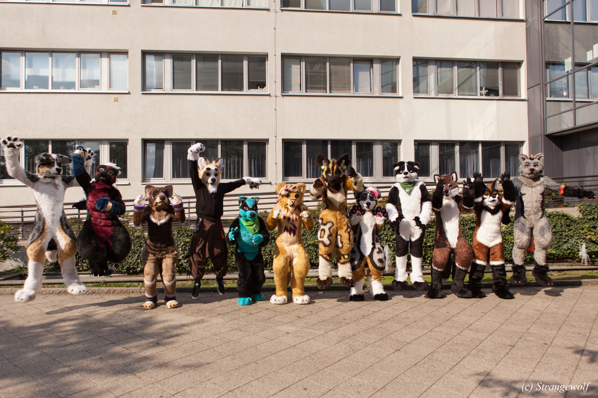 full image IMG_4958-lr19t.jpg