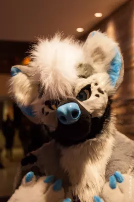 IMG_1549-lr19t.jpg of MFF/MFF2021/