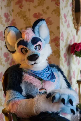 IMG_8436-lr19t.jpg of NFC/NFC2020/