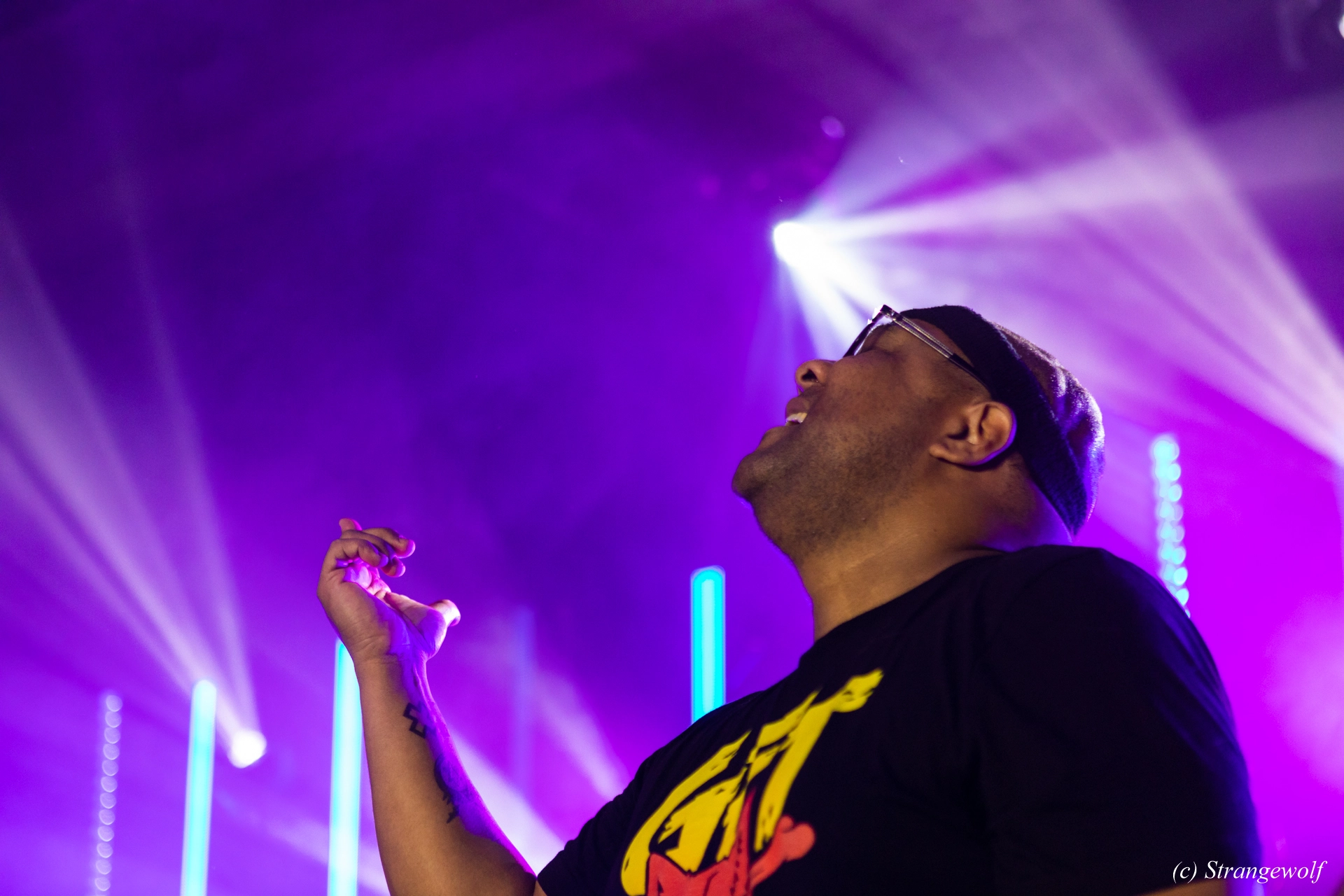 full image 1R3A5160-lr19t.jpg