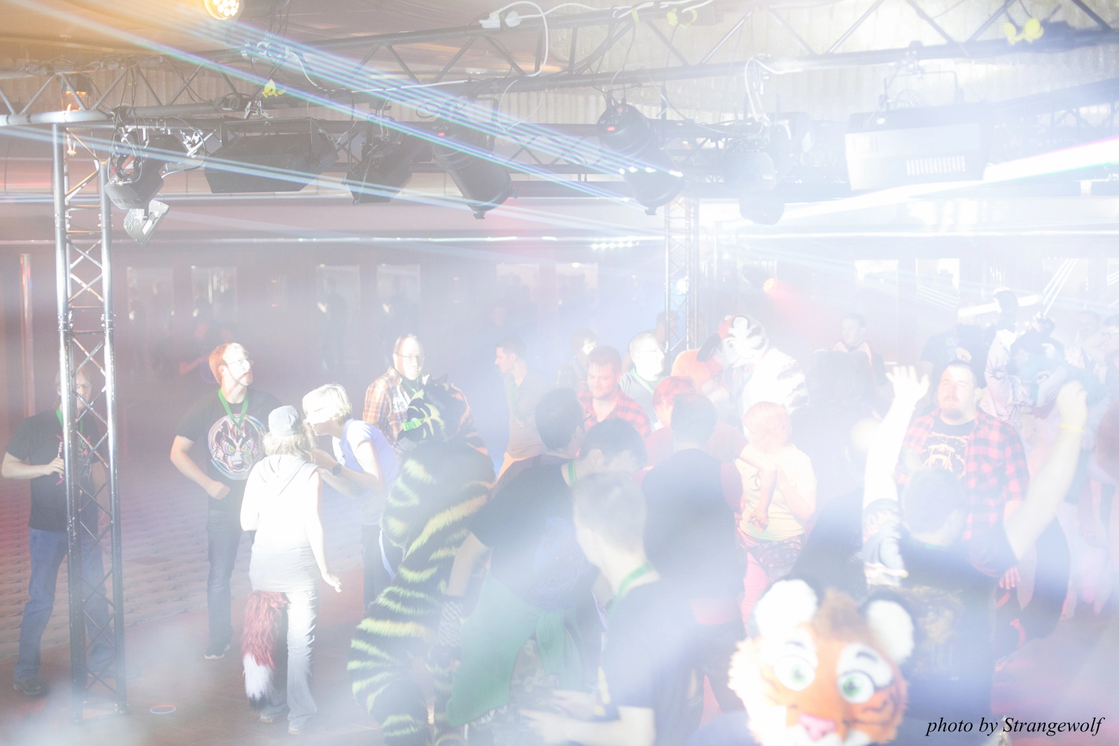 full image IMG_8642-lr16t.jpg