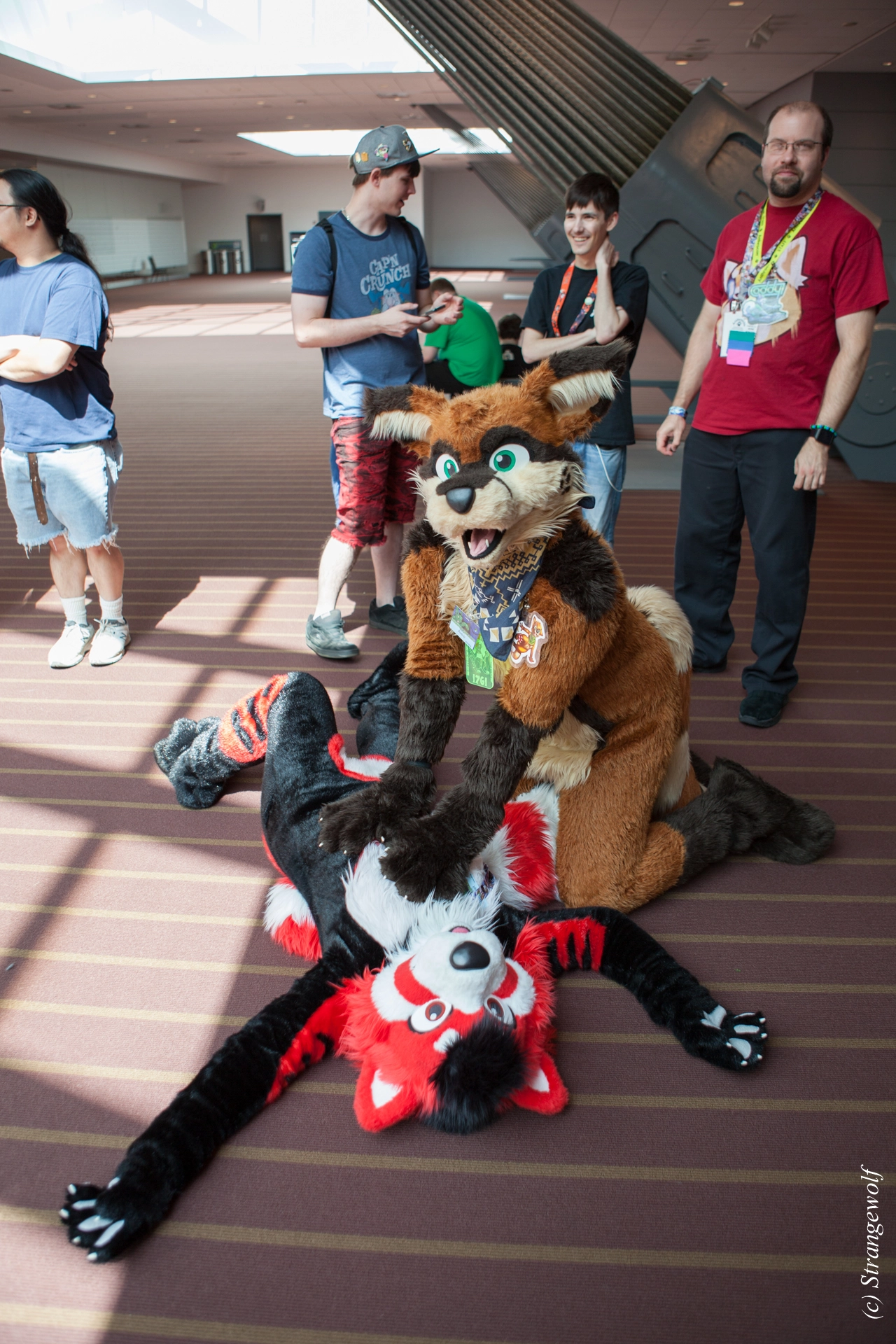 full image IMG_4087-lr19t.jpg