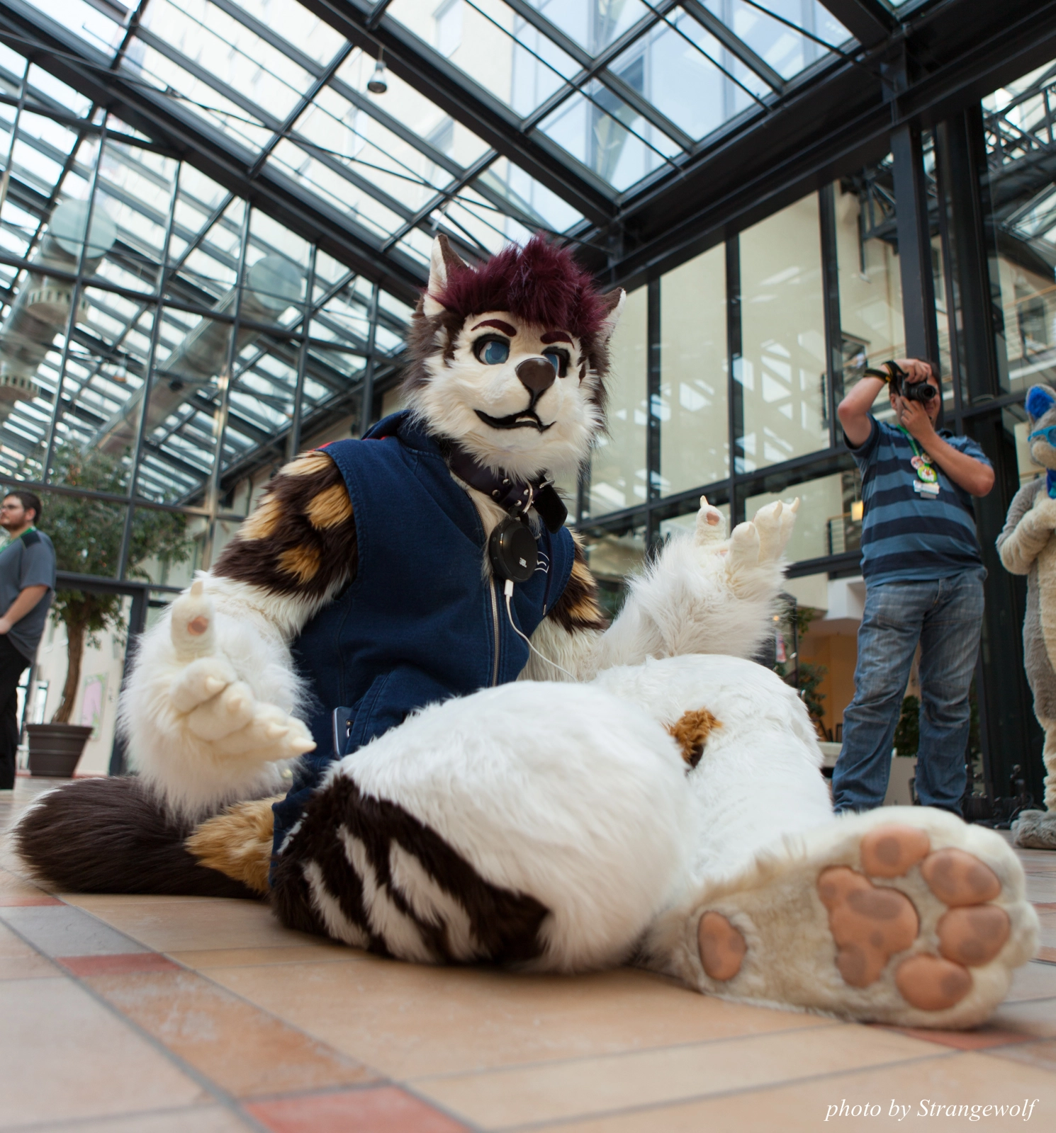 full image IMG_3193-lr16t.jpg