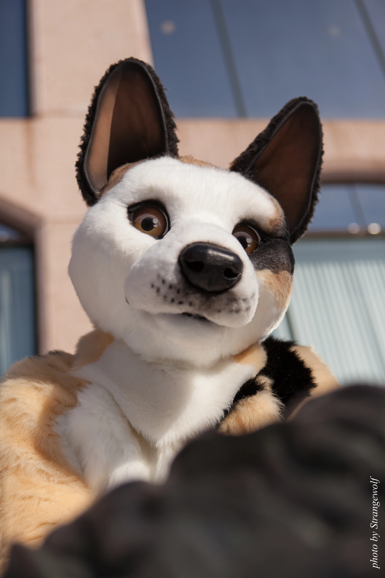 full image IMG_9578-lr19t.jpg