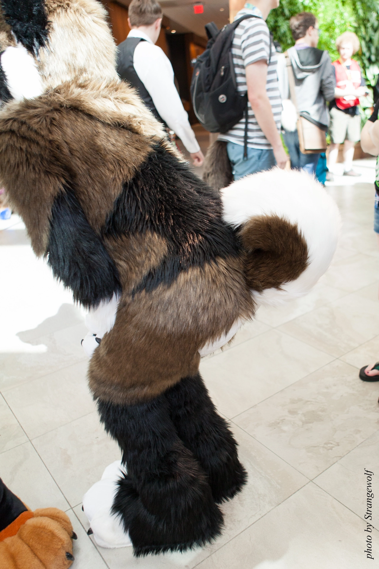 full image IMG_4956-lr19t.jpg