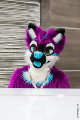 1R3A3264-lr19t.jpg of BLFC/BLFC2023/
