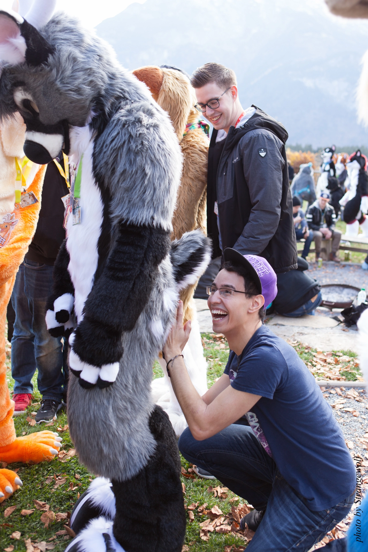 full image IMG_7887-lr19t.jpg