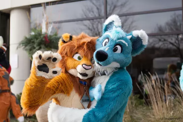 IMG_8343-lr19t.jpg of MFF/MFF2017/
