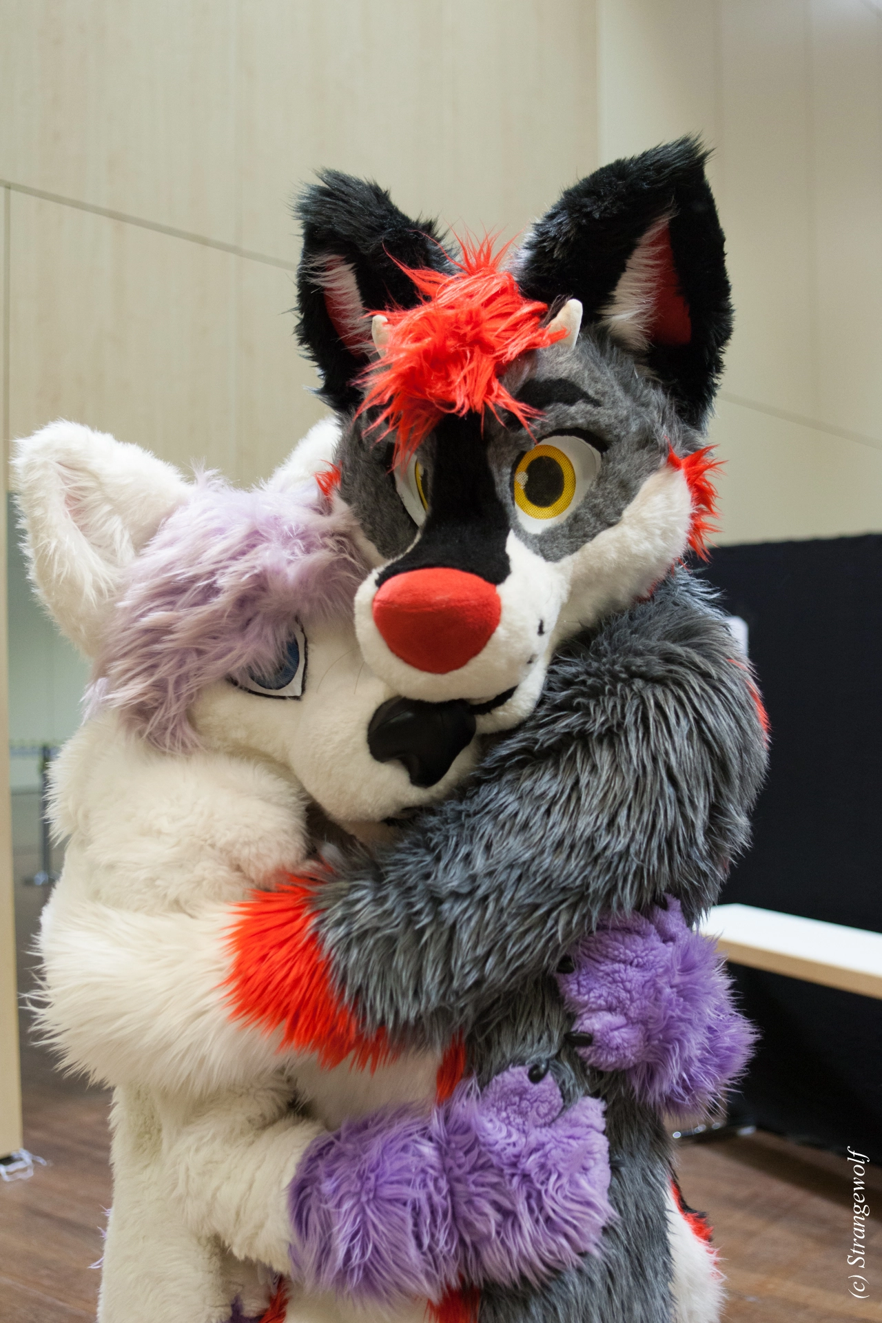 full image IMG_5024-lr19t.jpg