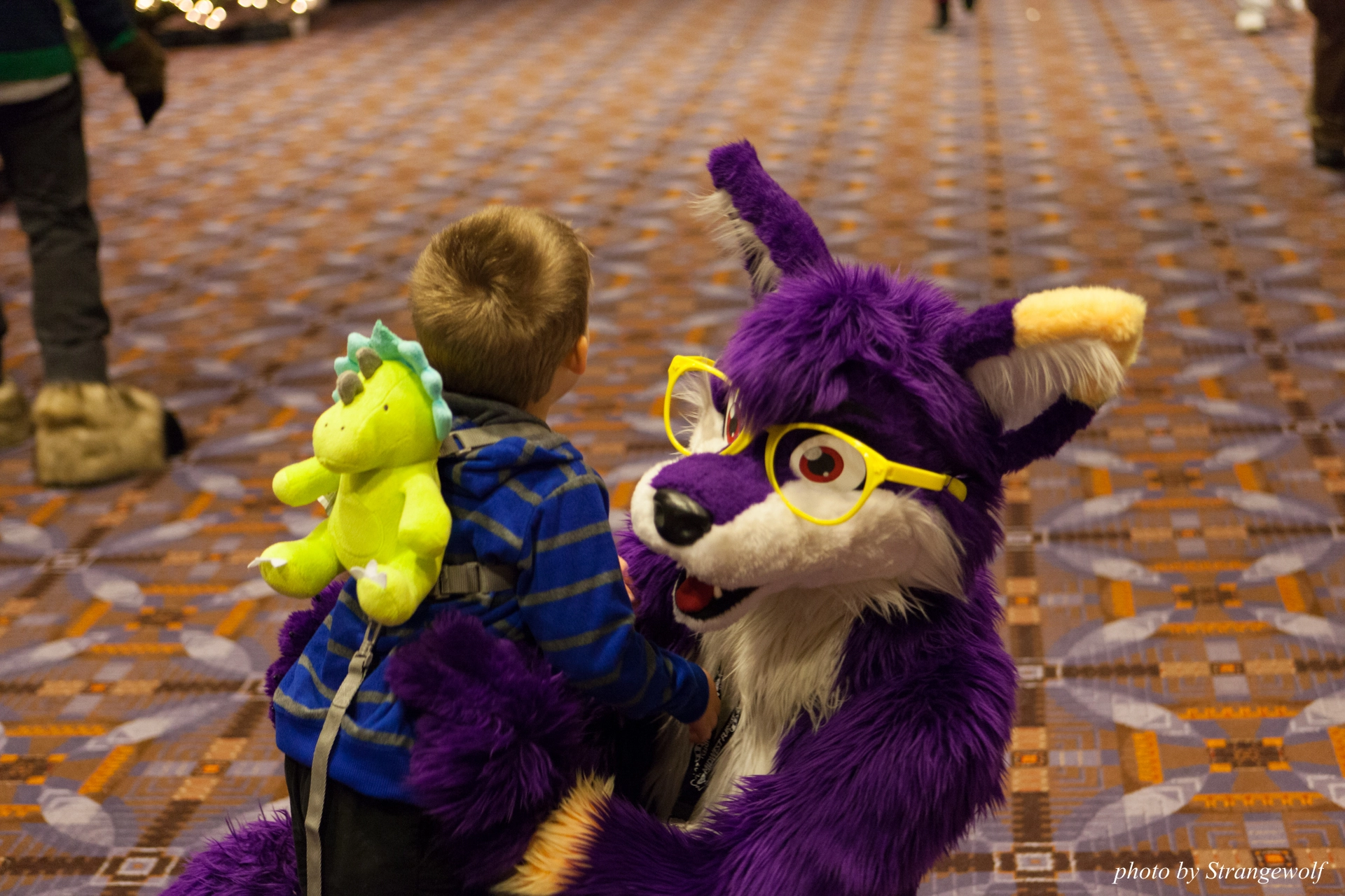 full image IMG_8606-lr19t.jpg