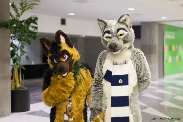 IMG_1257-lr16t.jpg of FC/FC2017/