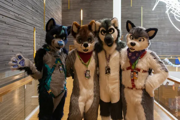 IMG_8252-lr19t.jpg of NFC/NFC2020/