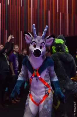 IMG_9198-lr19t.jpg of NFC/NFC2020/