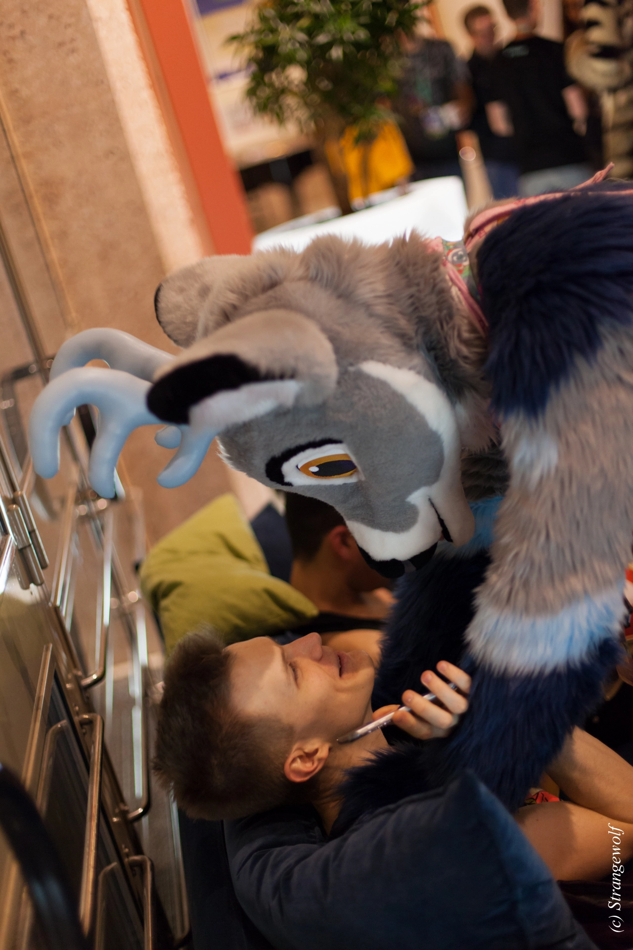 full image IMG_9756-lr19t.jpg