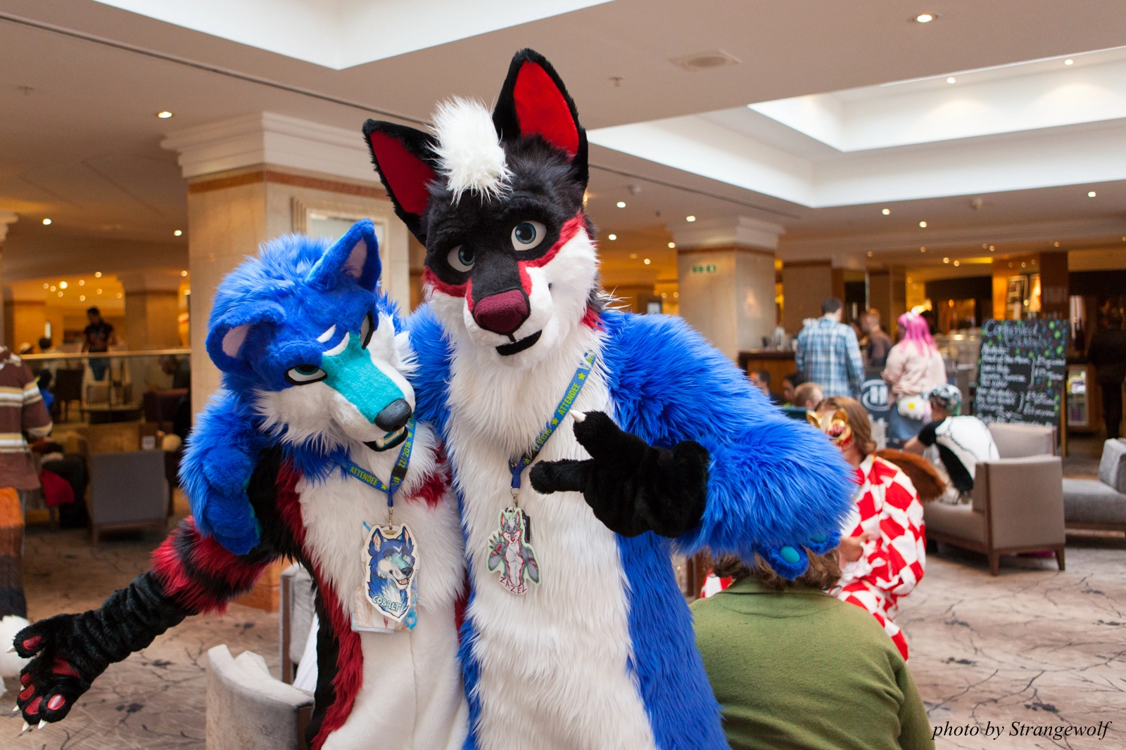 full image IMG_7556-lr16t.jpg