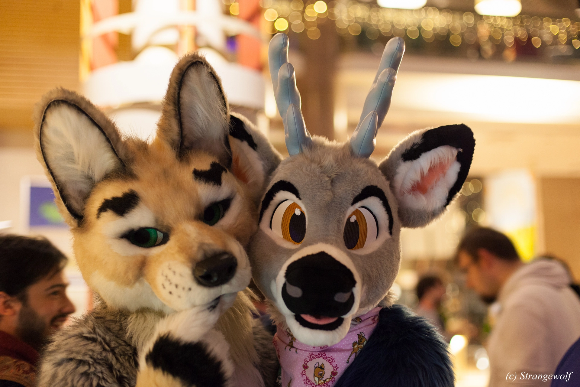 full image IMG_9684-lr19t.jpg