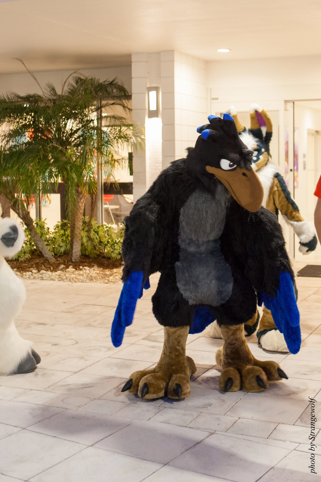 full image IMG_8437-lr16t.jpg