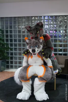 IMG_1636-lr16t.jpg of NFC/NFC2017/