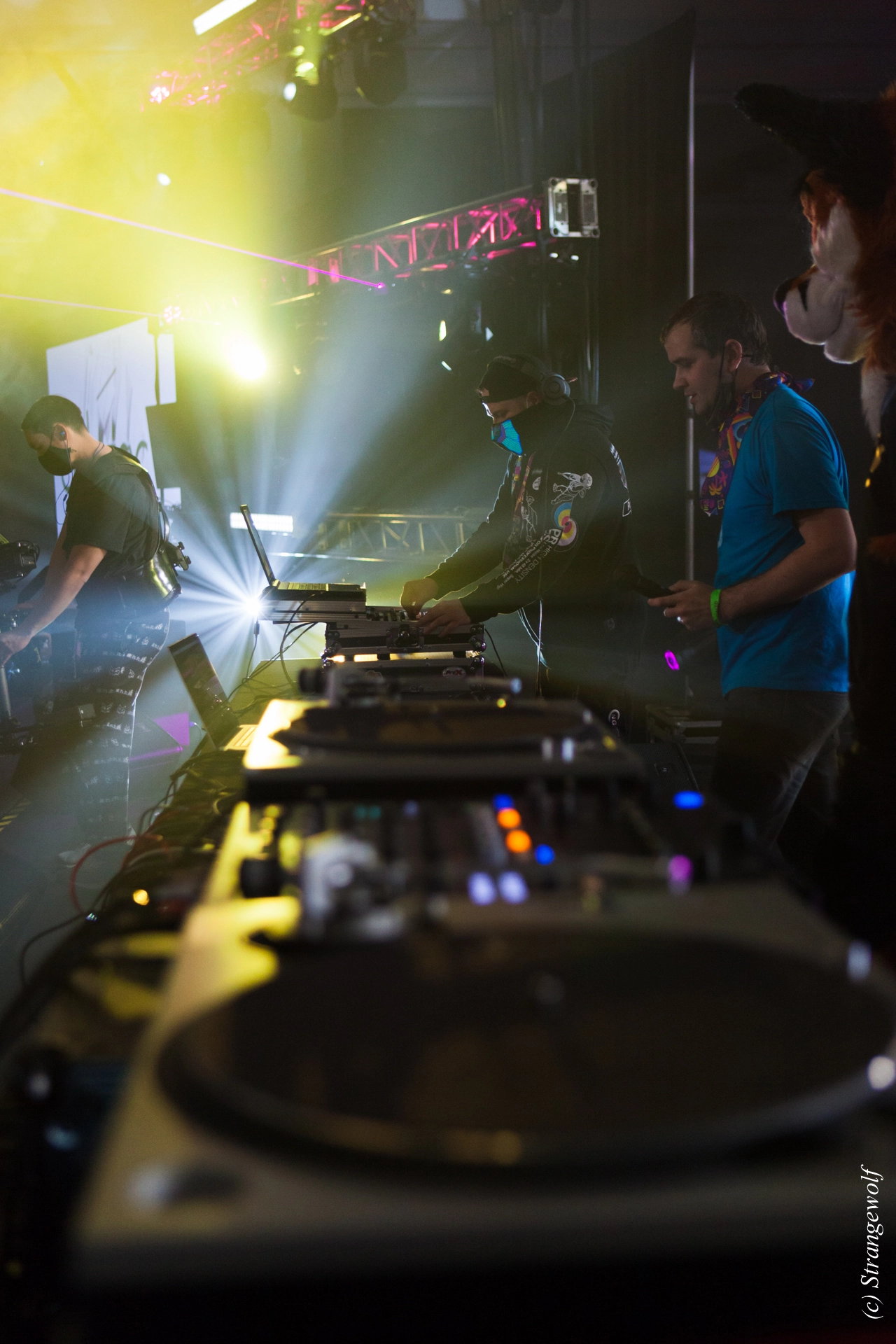 full image IMG_1960-lr19t.jpg