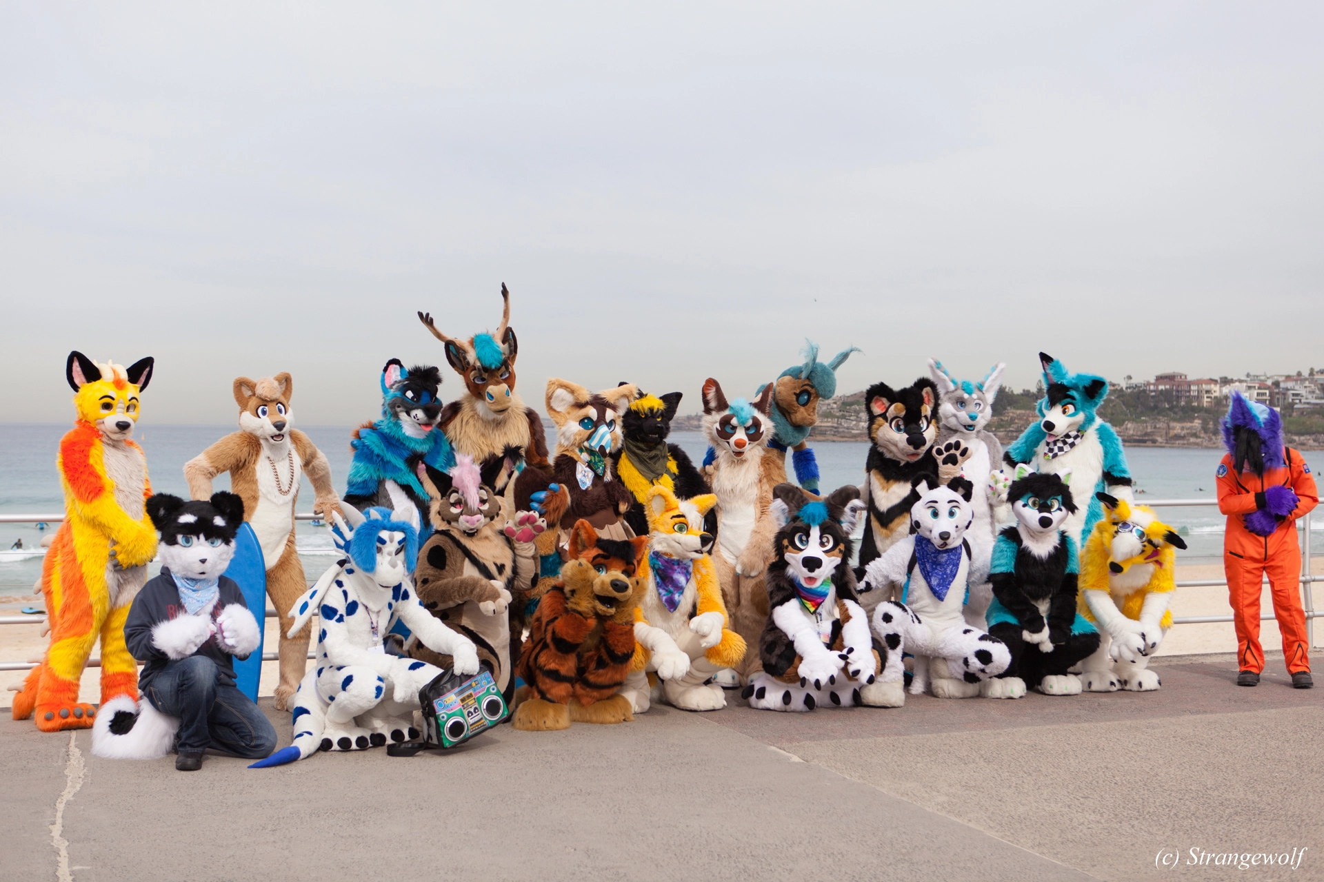 full image IMG_4411-lr19t.jpg