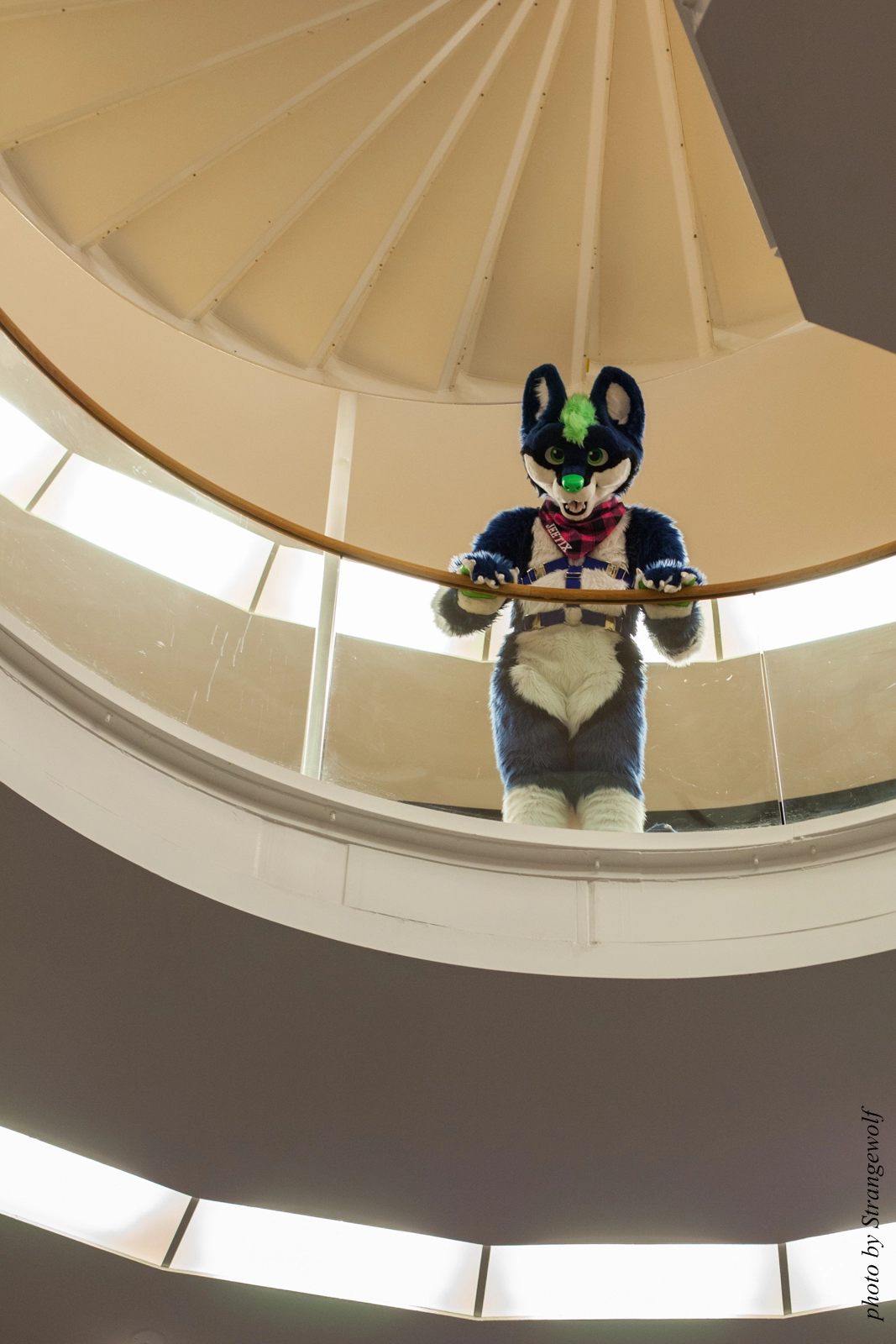 full image IMG_1891-lr16t.jpg