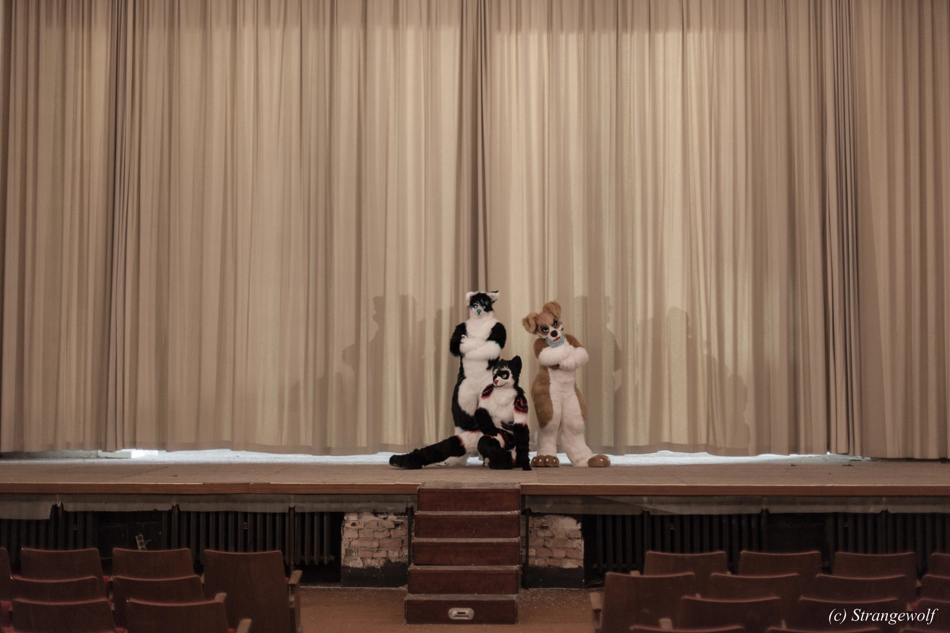 full image IMG_5801-lr19t.jpg