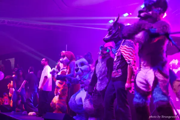 IMG_1231-lr16t.jpg of FC/FC2017/