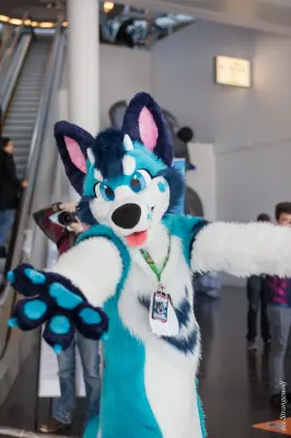 IMG_9497-lr19t.jpg of NFC/NFC2018/