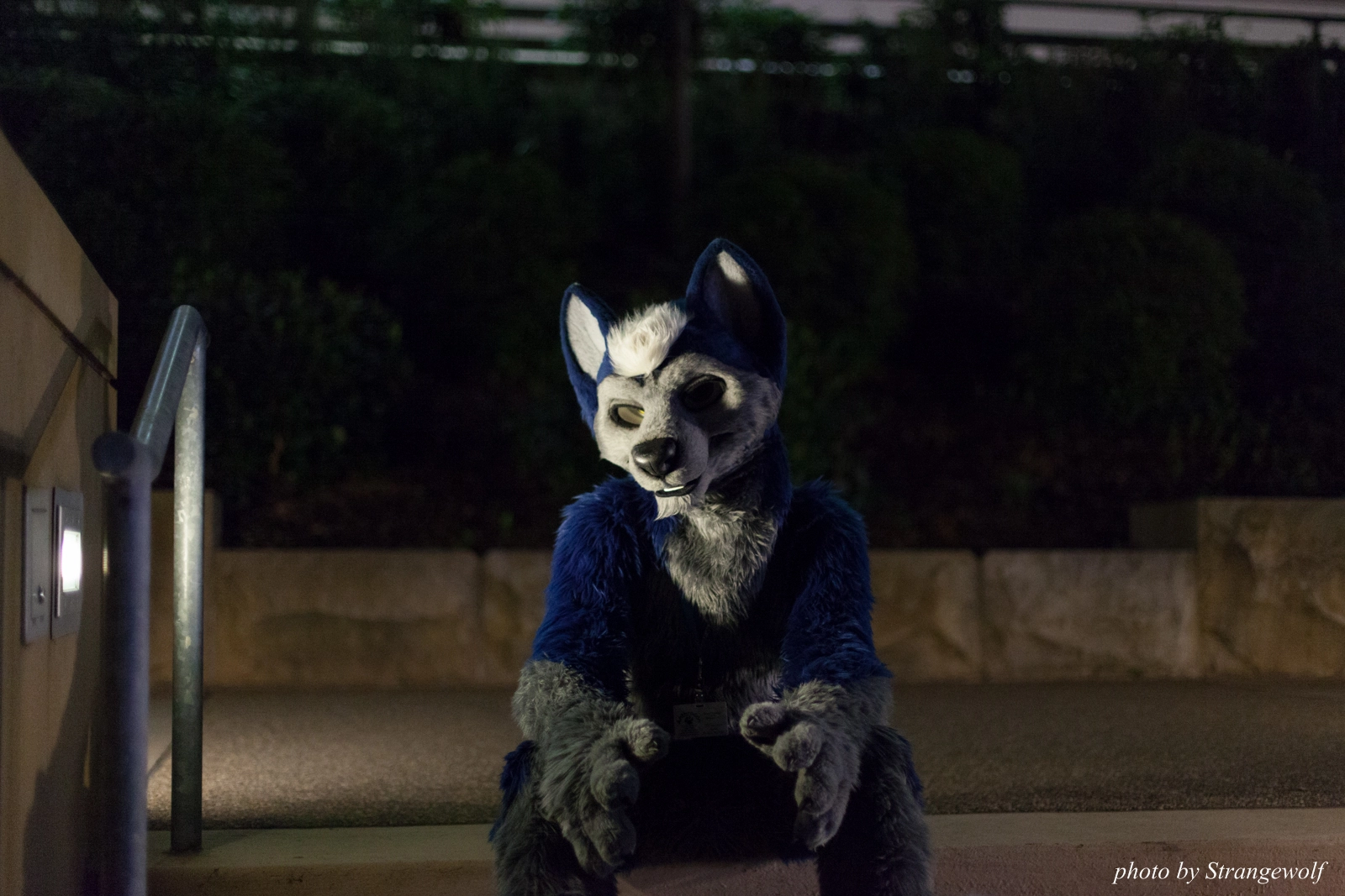 full image IMG_8012-lr16t.jpg
