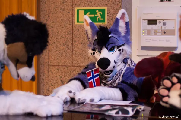 IMG_9589-lr19t.jpg of NFC/NFC2019/