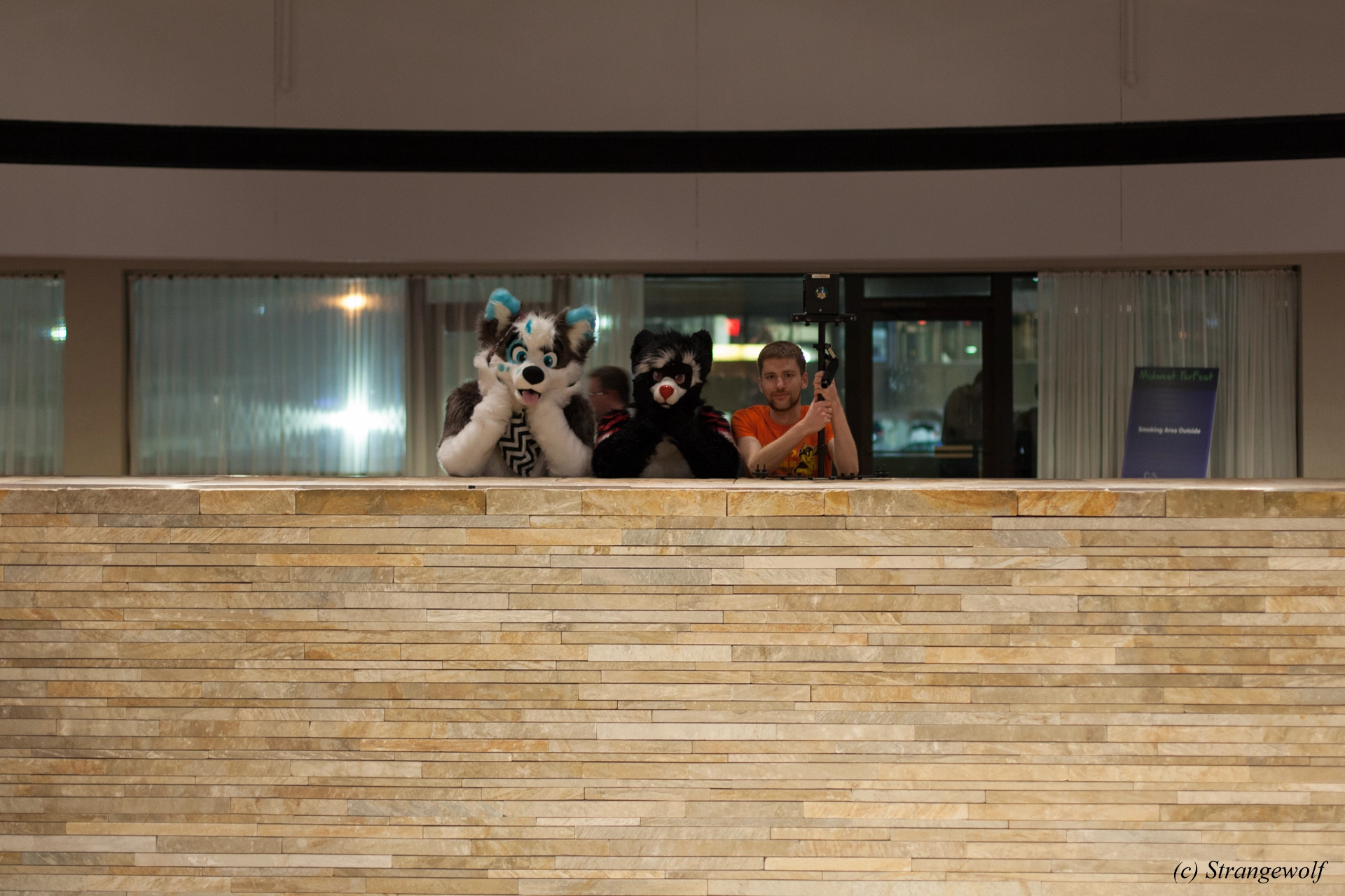 full image IMG_7092-lr19t.jpg